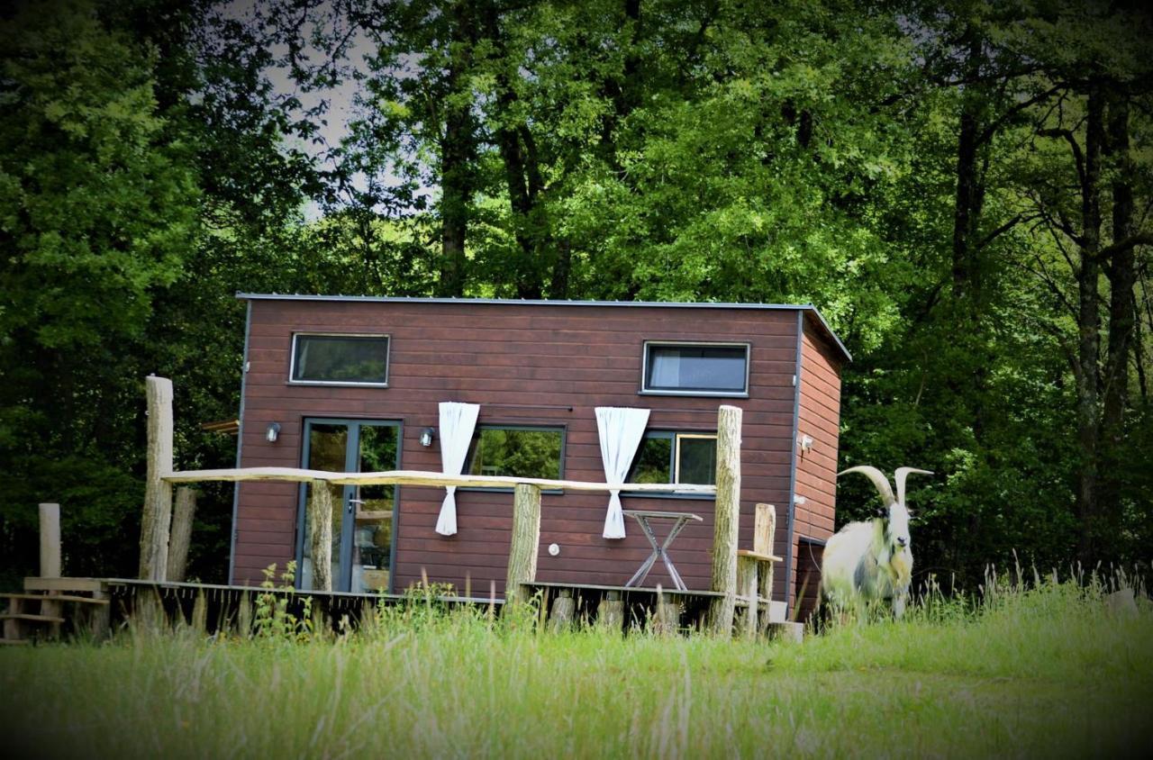 Ferienwohnung La Tiny House Terra Nostra Saint-Bazile Exterior foto